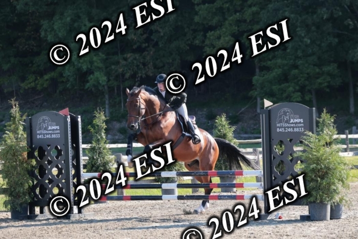 204SC1_9616