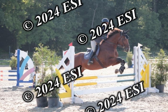 204SC1_9625