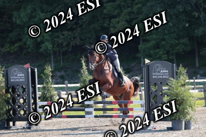 204SC1_9629