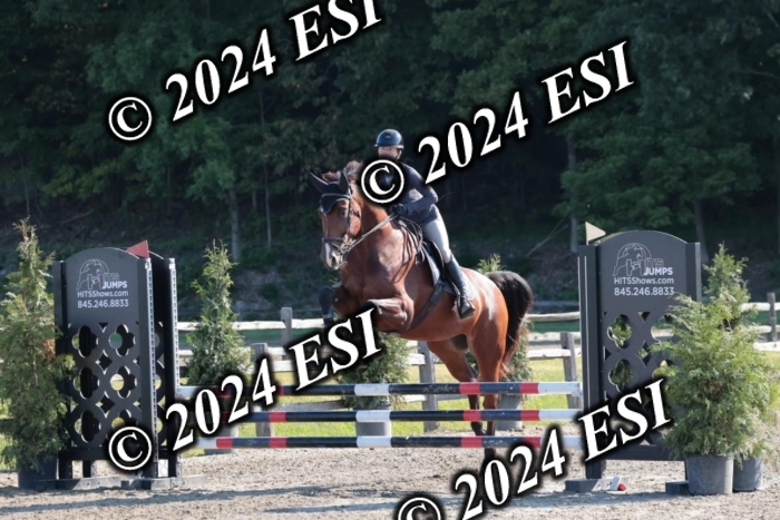 204SC1_9631