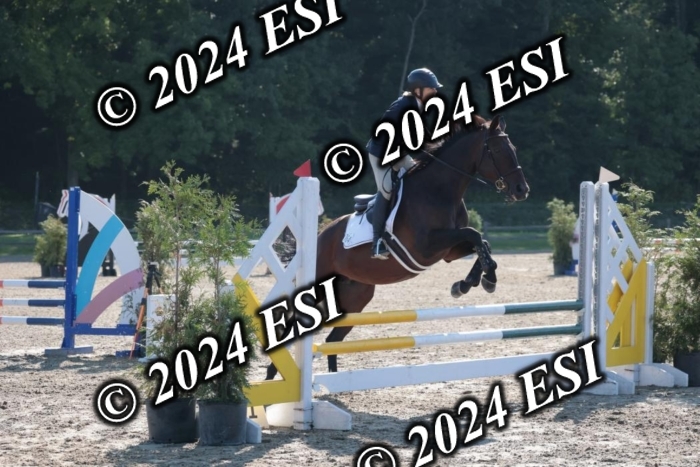 204SC1_9639
