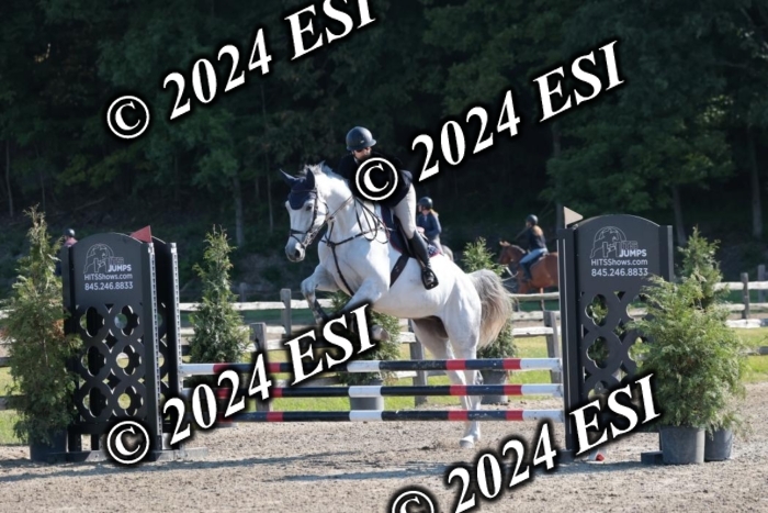 204SC1_9669