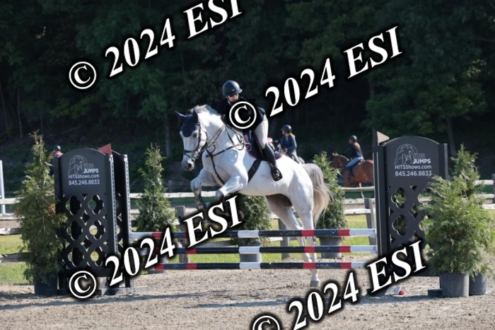 204SC1_9670