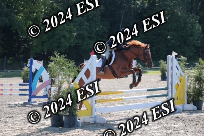 204SC1_9716