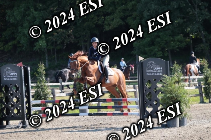 204SC1_9719