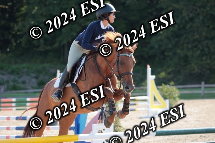 204SC1_9733
