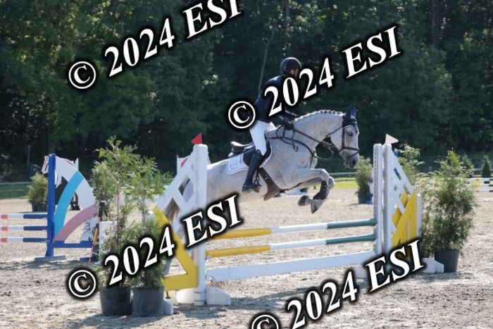 204SC1_9744