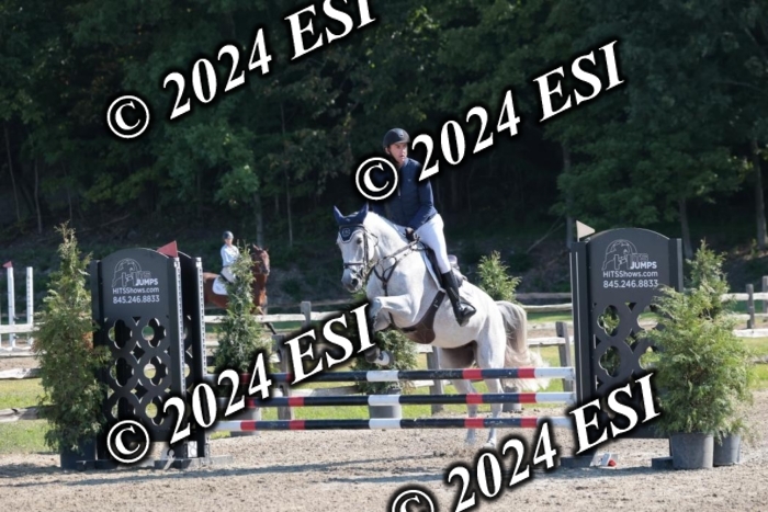 204SC1_9749