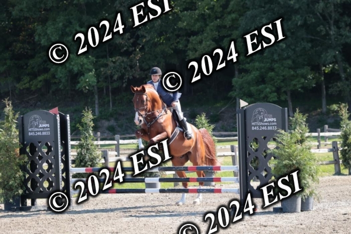 204SC1_9781