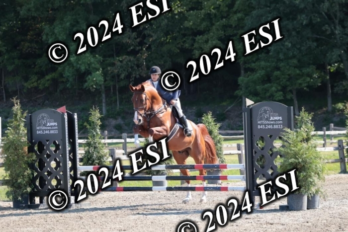 204SC1_9782