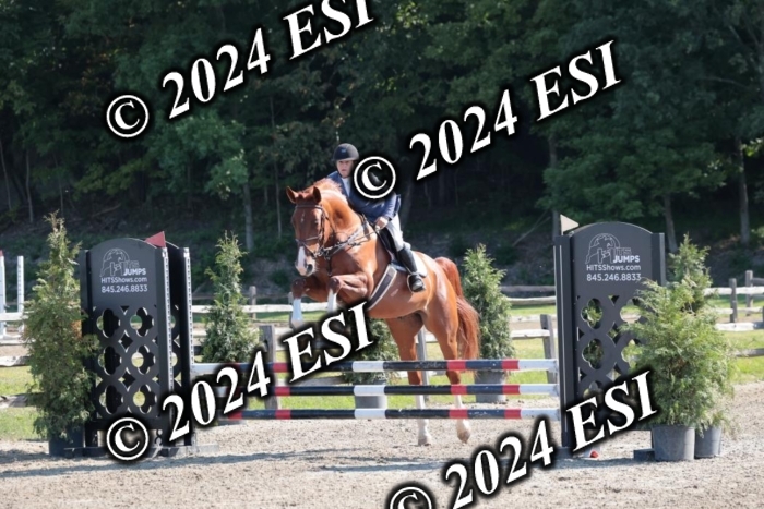 204SC1_9783