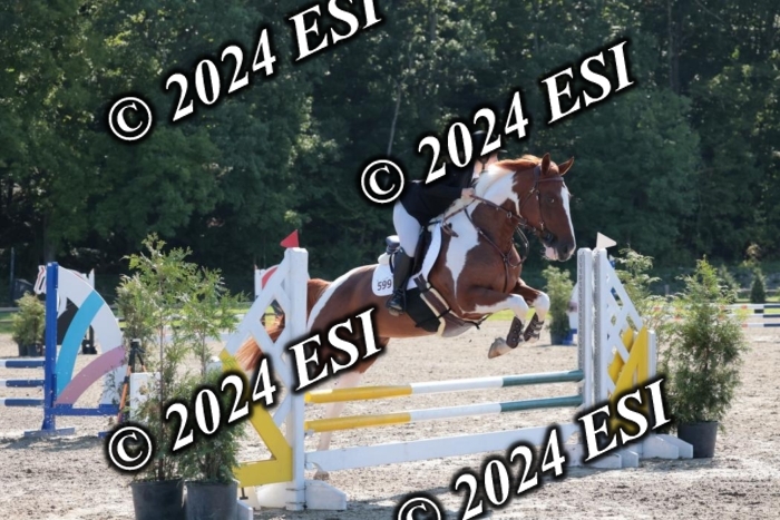 204SC1_9842