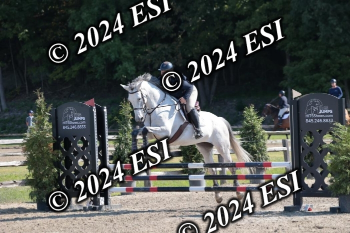 204SC1_9901