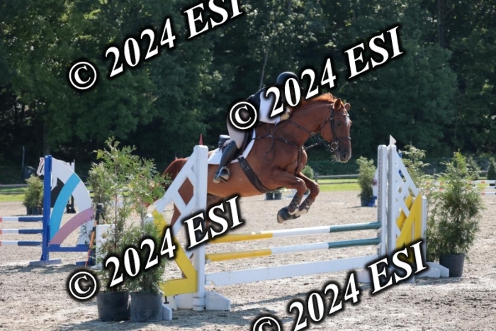 204SC1_9924