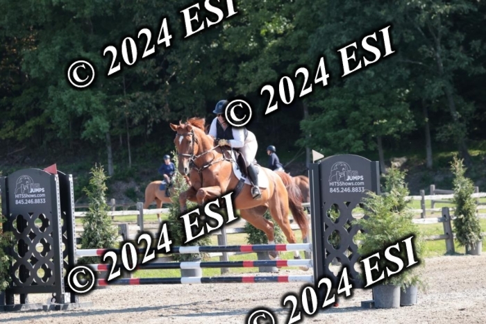 204SC1_9929