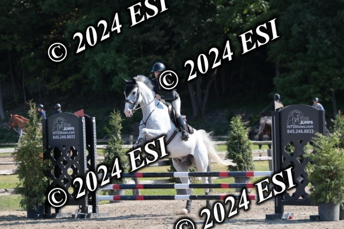 204SC1_9974
