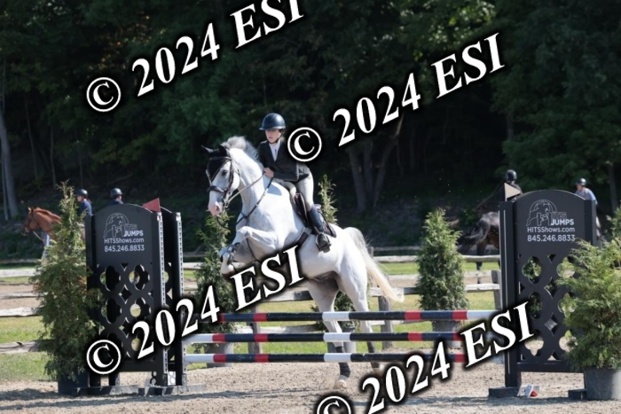 204SC1_9975