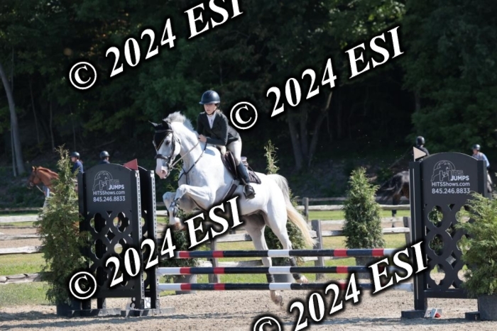 204SC1_9976