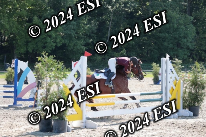 204SC1_9996
