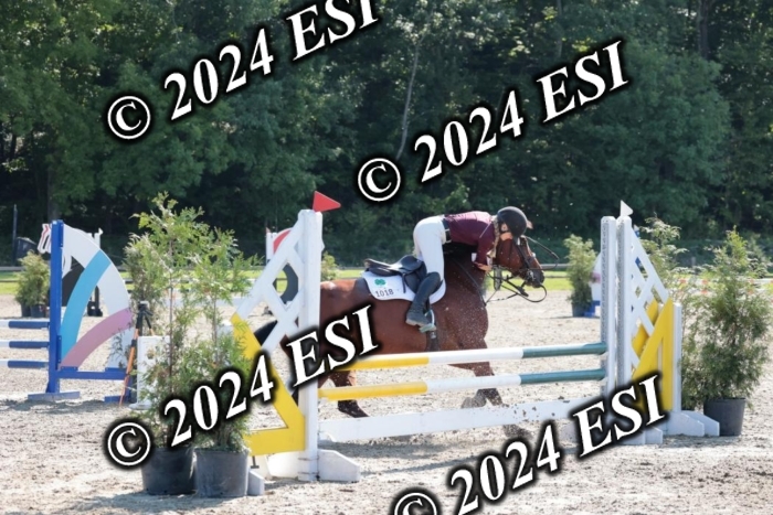 204SC1_9997