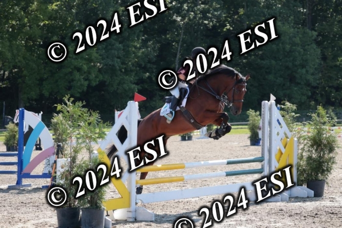 204SC1_9999