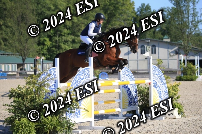 264IMGL5159
