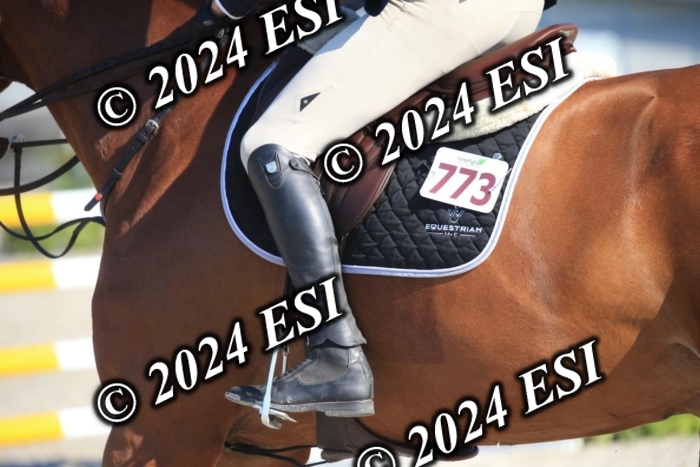 264IMGL5178