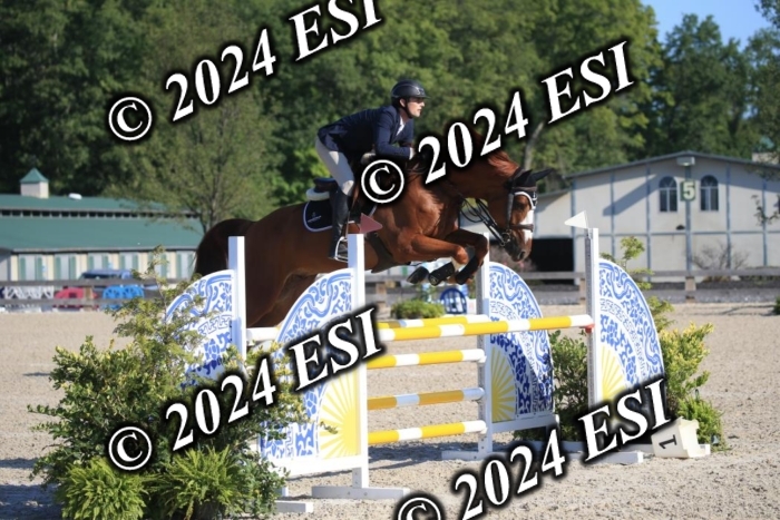 264IMGL5181