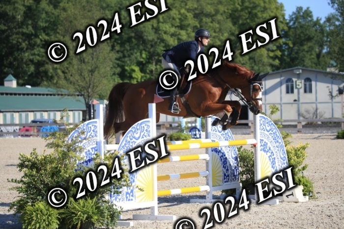 264IMGL5182