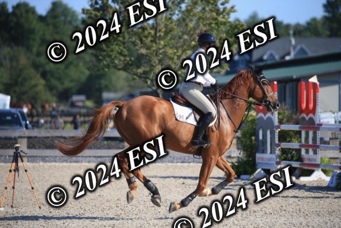 264IMGL5191