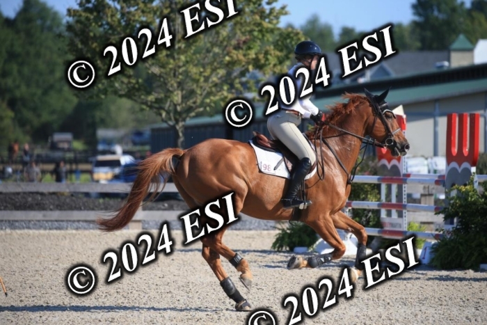 264IMGL5192