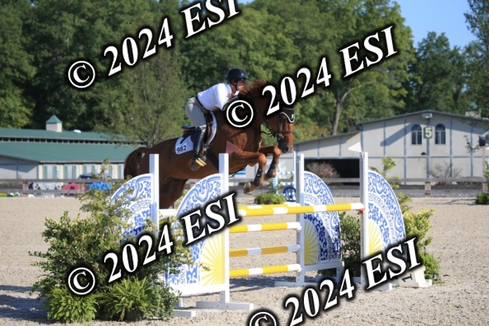 264IMGL5196