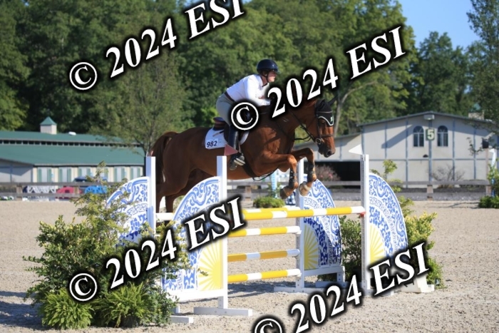264IMGL5197