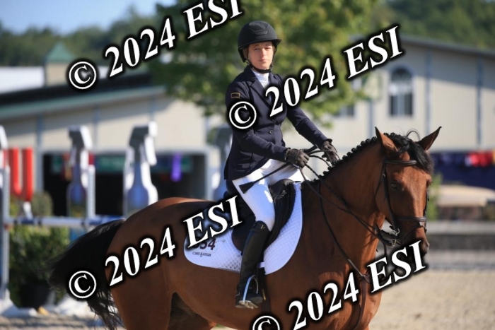 264IMGL5201