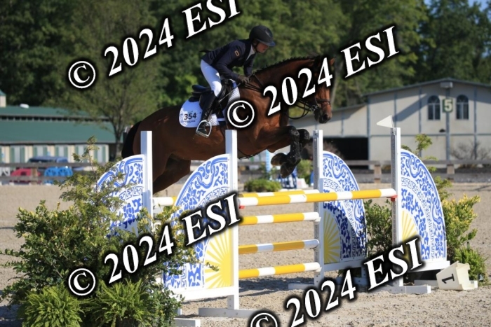 264IMGL5206