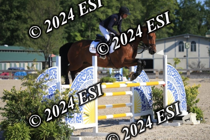 264IMGL5207