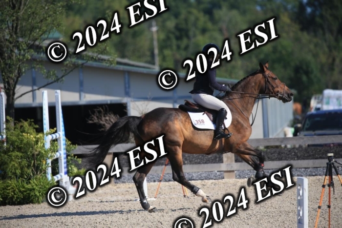 264IMGL5213