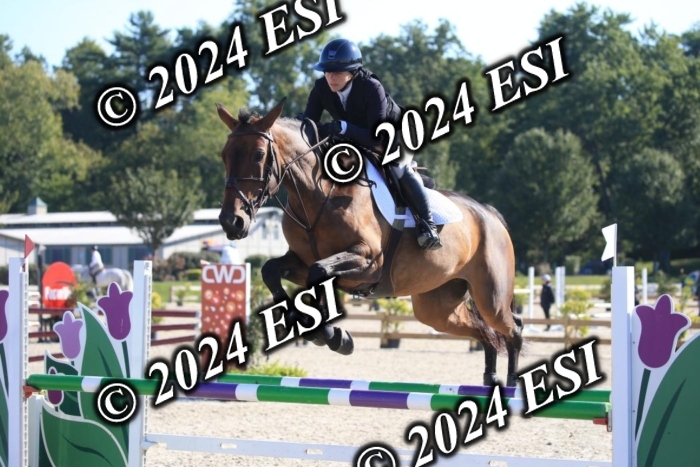 264IMGL5215