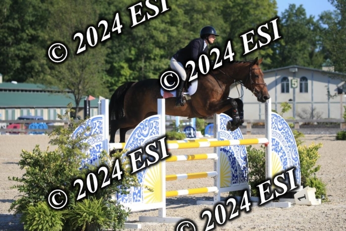 264IMGL5217