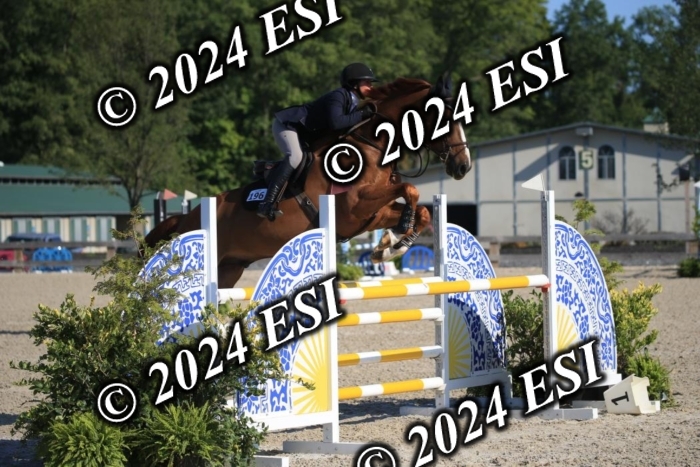 264IMGL5229