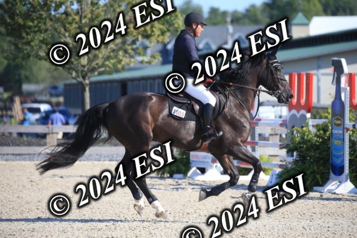 264IMGL5238