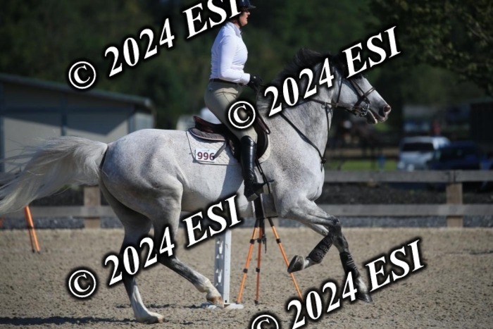 264IMGL5260