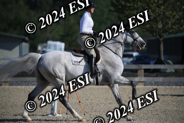 264IMGL5261