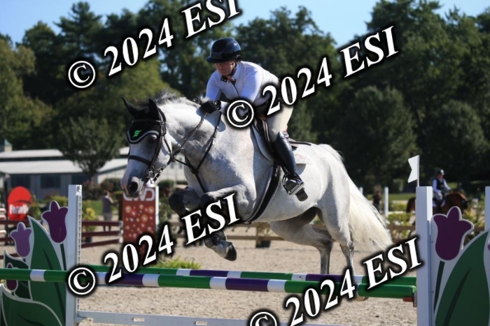264IMGL5263