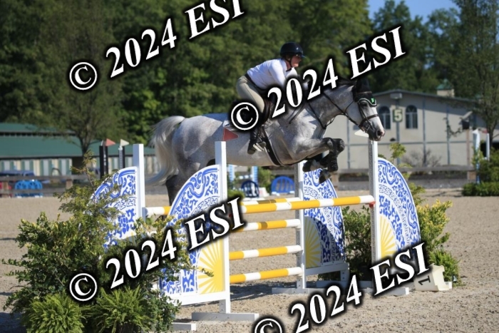 264IMGL5267