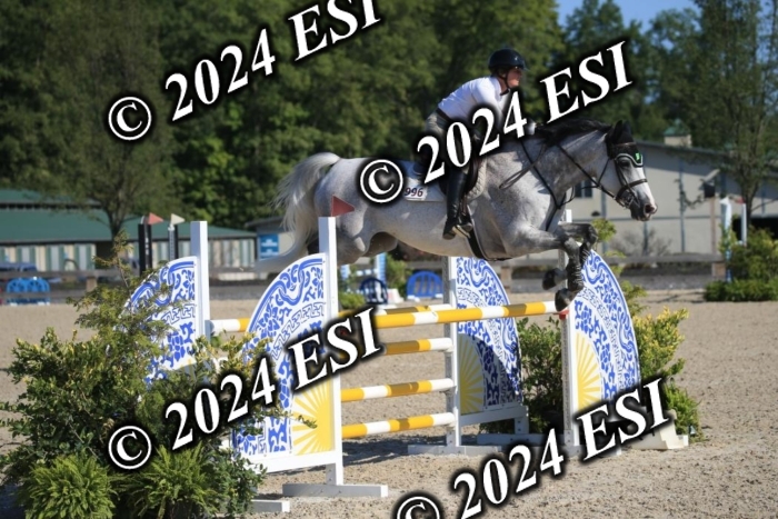 264IMGL5268