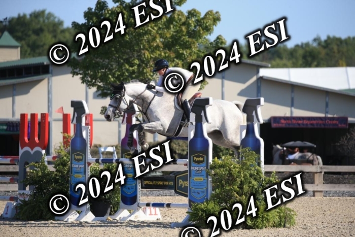 264IMGL5269