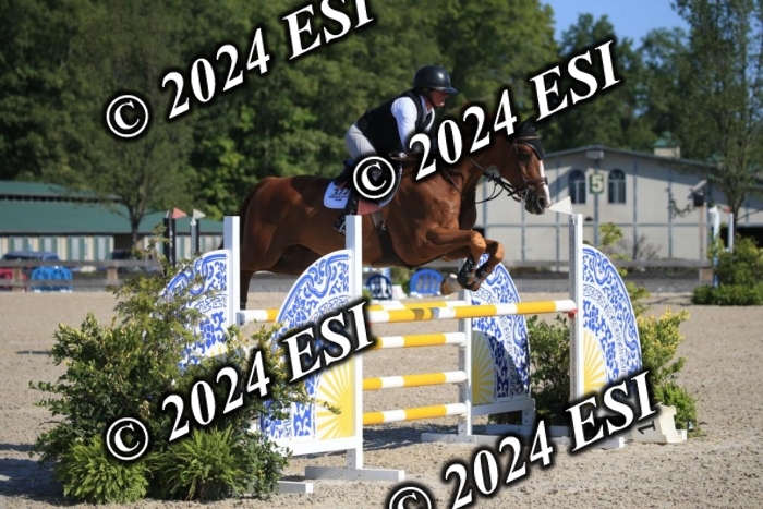 264IMGL5277