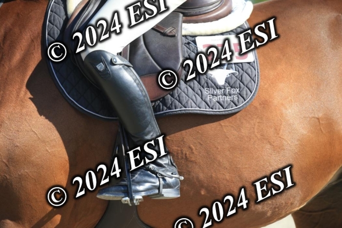 264IMGL5283