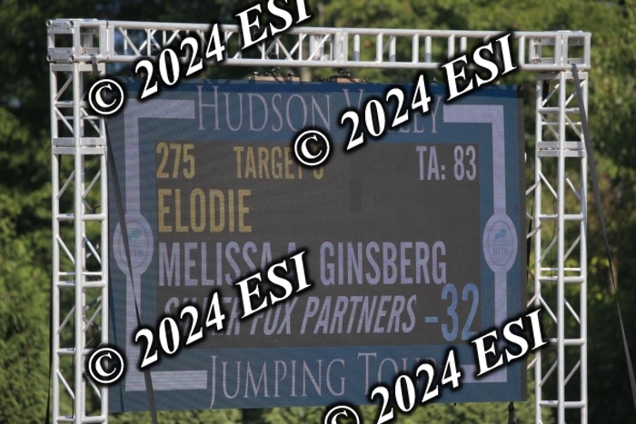 264IMGL5284